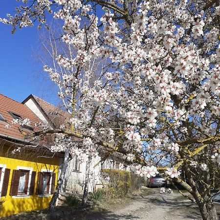 Eva Vendeghaz Villa Tata Dış mekan fotoğraf
