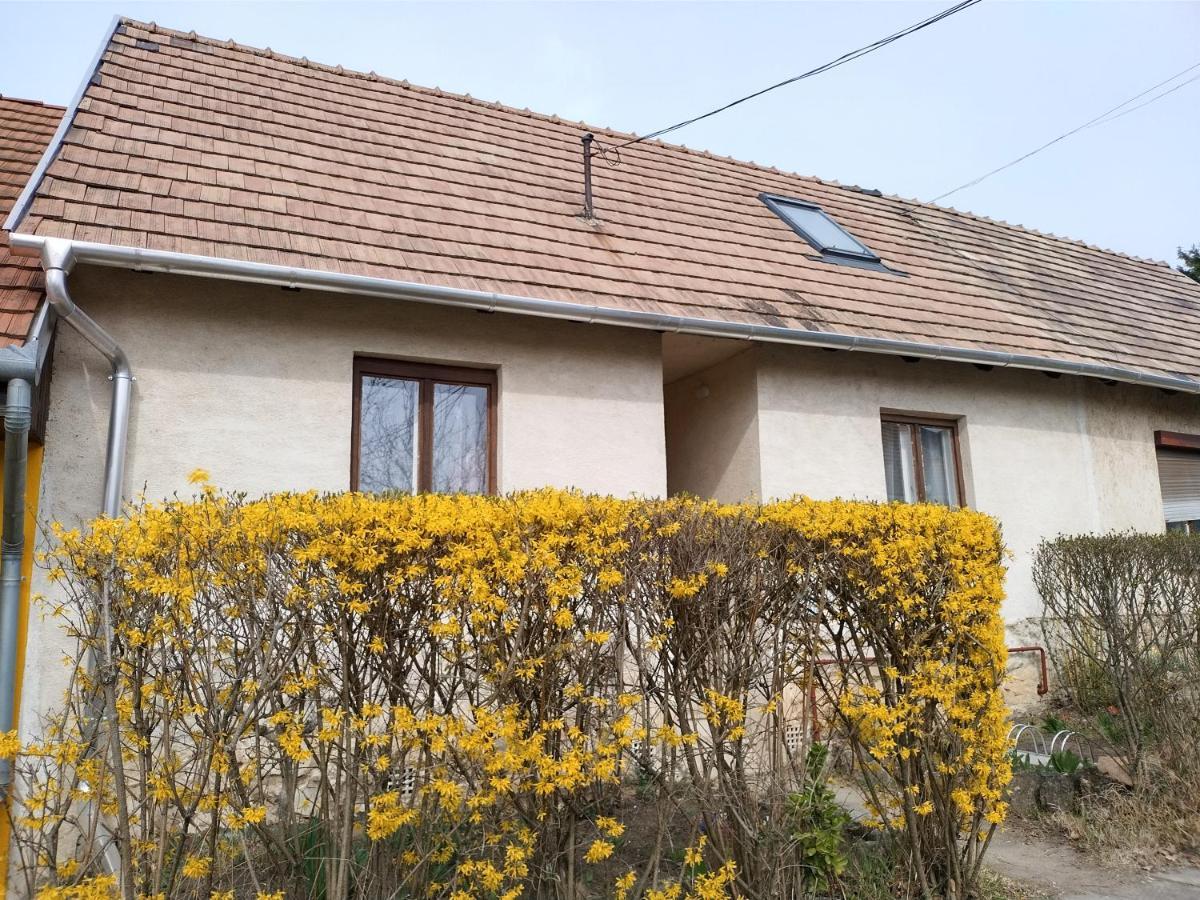 Eva Vendeghaz Villa Tata Dış mekan fotoğraf