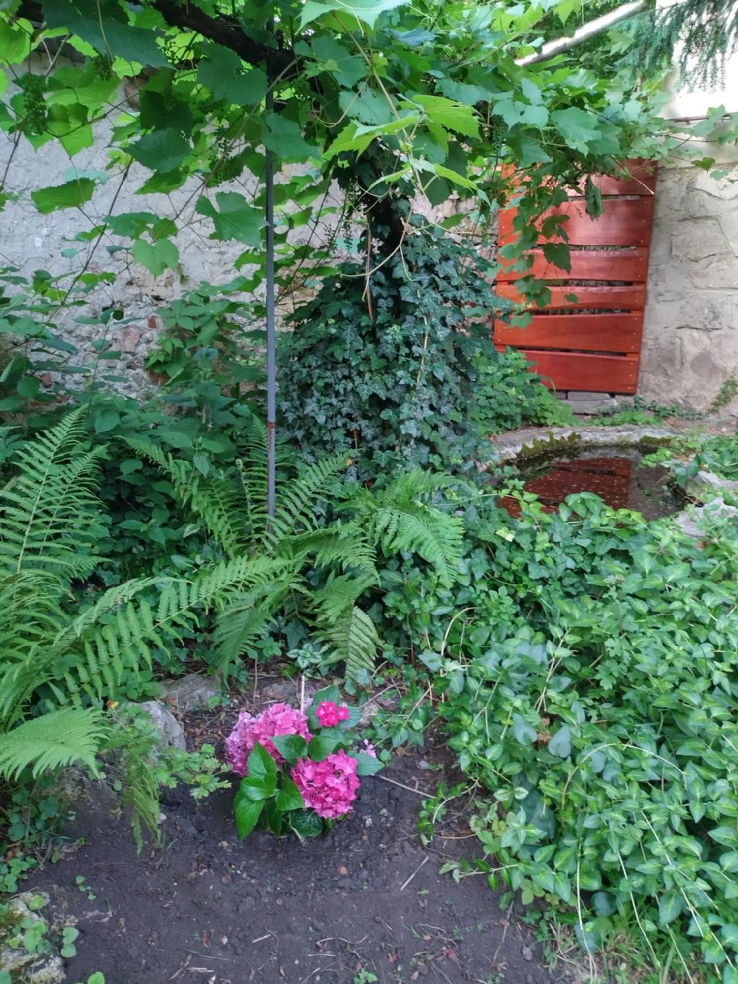 Eva Vendeghaz Villa Tata Dış mekan fotoğraf
