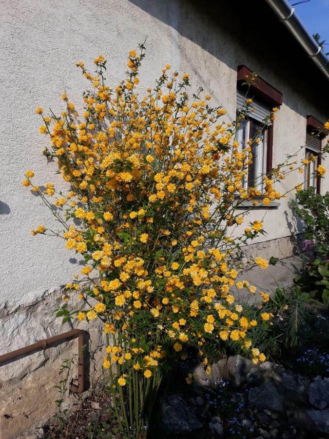 Eva Vendeghaz Villa Tata Dış mekan fotoğraf