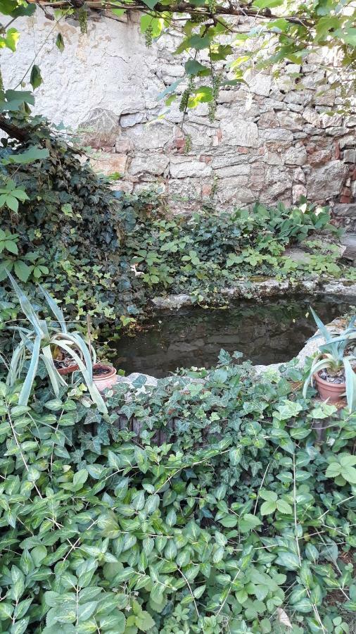 Eva Vendeghaz Villa Tata Dış mekan fotoğraf
